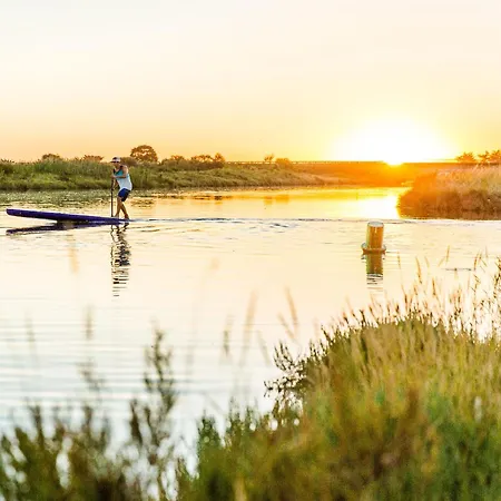 Le Goeland De La Vie Nyaraló