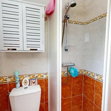 Le Goeland De La Vie