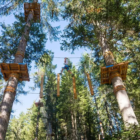 Le Goeland De La Vie Nyaraló *