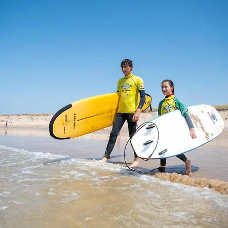Le Goeland De La Vie *