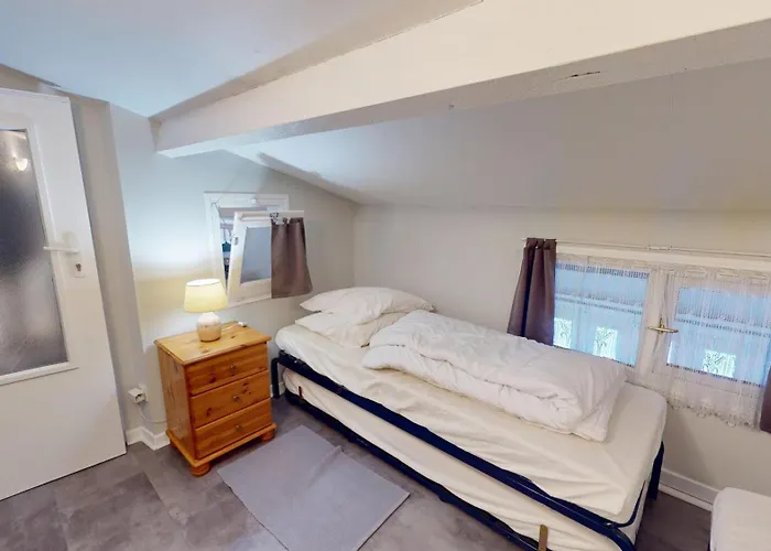 Le Goeland De La Vie